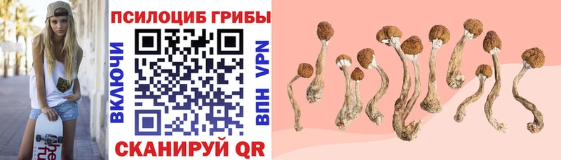 Галлюциногенные грибы Magic Shrooms  площадка наркотические препараты  Белебей 